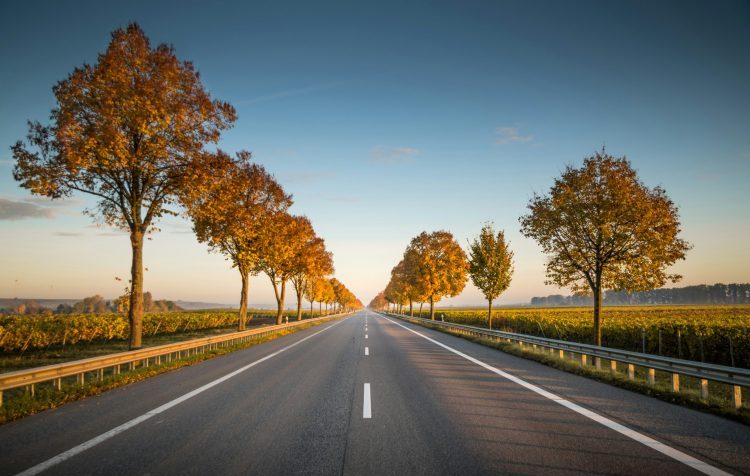 treelined road leading into the distance for Gesher EU's on the derech article